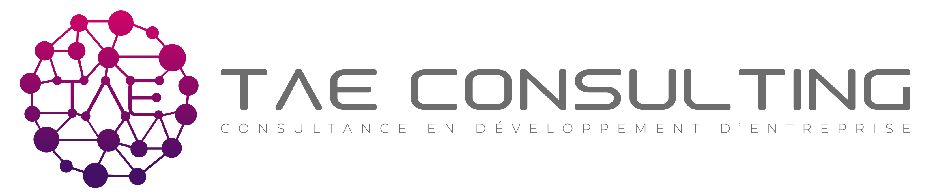 TAE Consulting